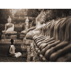 Young Buddhist Monk...
