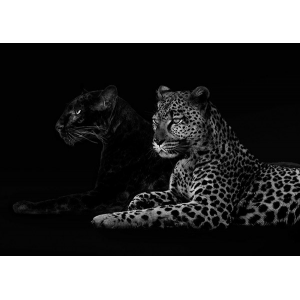 Brotherhood (detail)