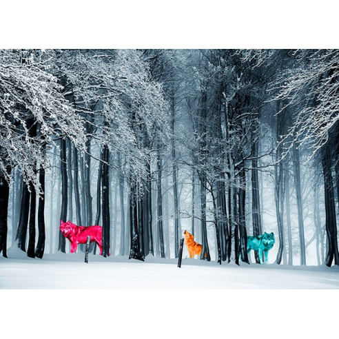 Kings of the Wild Frontier