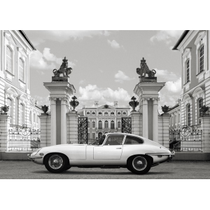 Princess at the Palace...