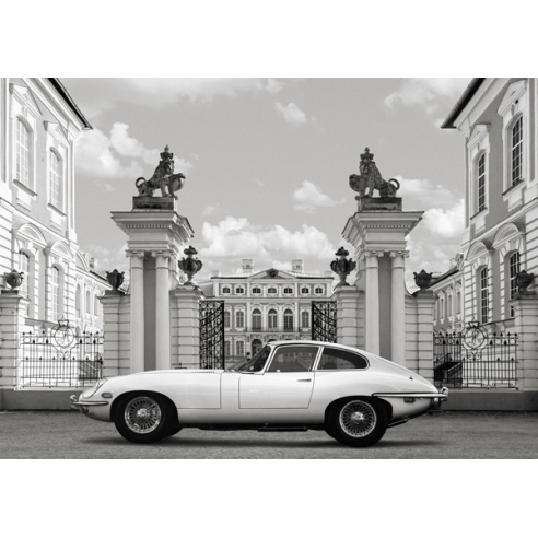 Princess at the Palace (detail)