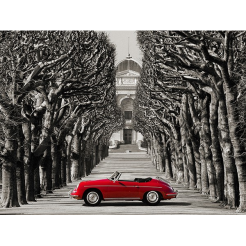 Roadster in tree lined road, Paris