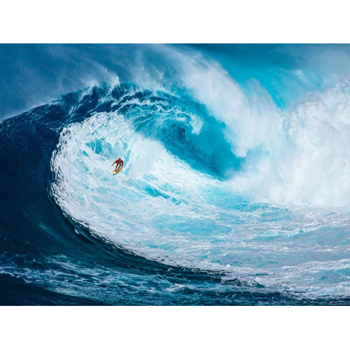Surfing the big wave, Tasmania