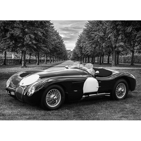 Vintage Roadster in a Park