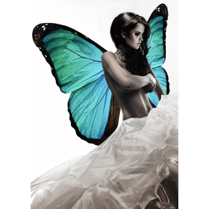 Winged Beauty 1 (detail)