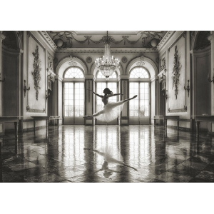 Ballerina in a palace hall