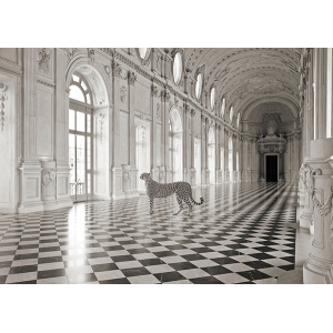 Luxurious Wilderness I