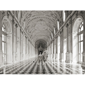 Luxurious Wilderness IV