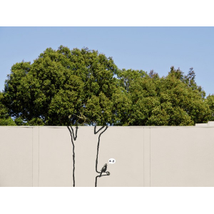 Near 14th Street, San...