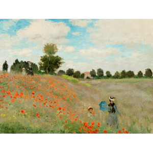 Coquelicots