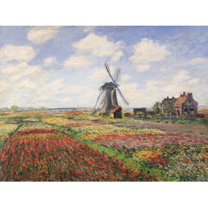 Tulip Fields with Windmill