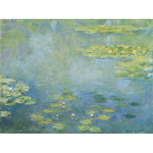Waterlilies