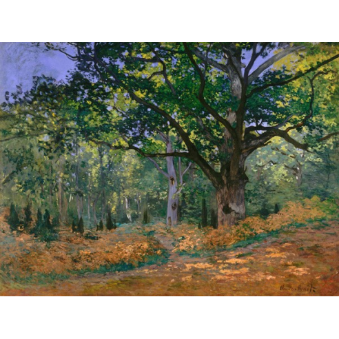 The Bodmer Oak, Fontainebleau Forest