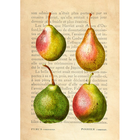 Pears, After Redouté