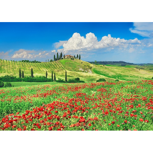 Farmhouse with Cypresses and Poppies,...