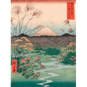 Otsuki Plain in Kai Province