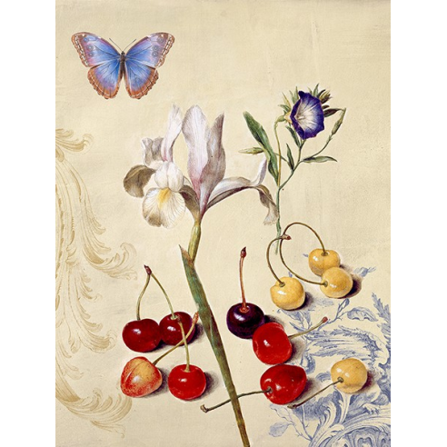 Cabinet of Curiosities n. 1