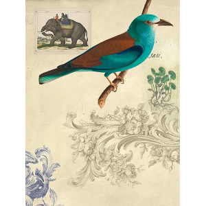 Cabinet of Curiosities n. 2