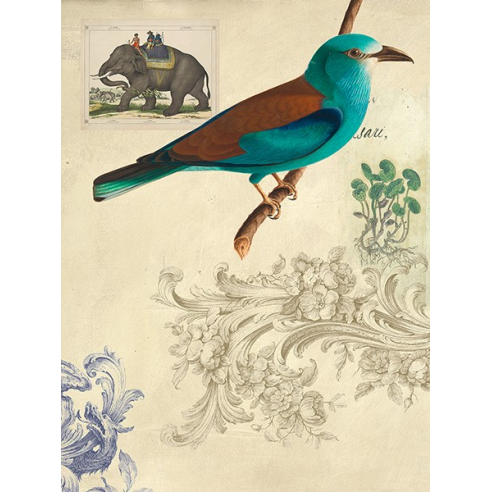 Cabinet of Curiosities n. 2