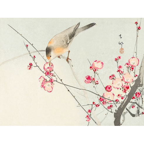 Songbird on blossom Branch
