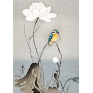 Kingfisher with Lotus Flower