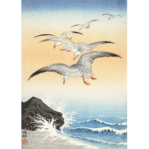 Five seagulls above...