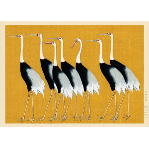 Flock of Japanese red crown...