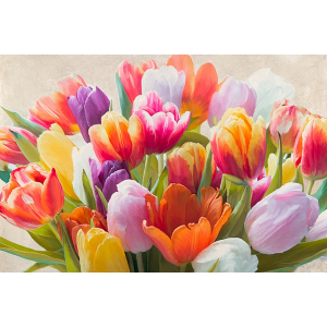 Spring Tulips