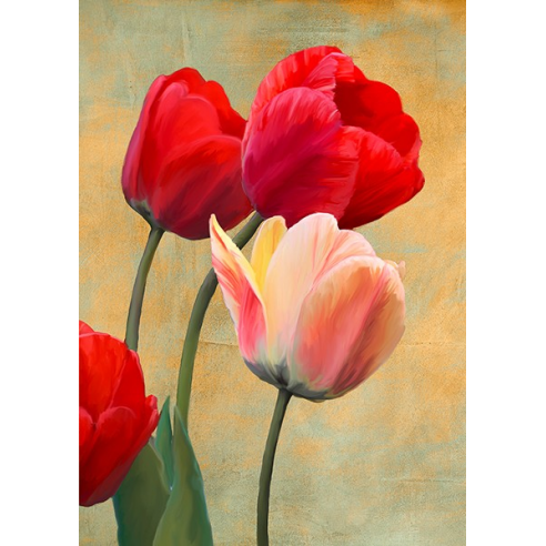 Ruby Tulips