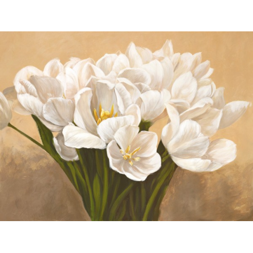 Tulipes blanches