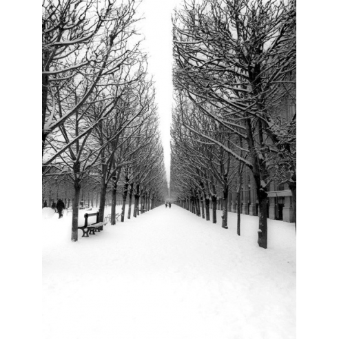 The Tuileries Garden under the snow,...
