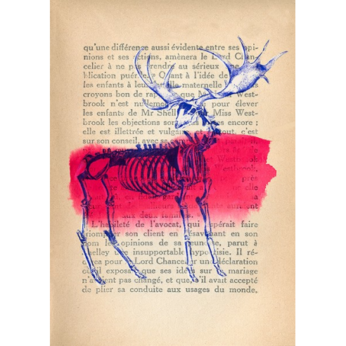 Memories of the Wild III