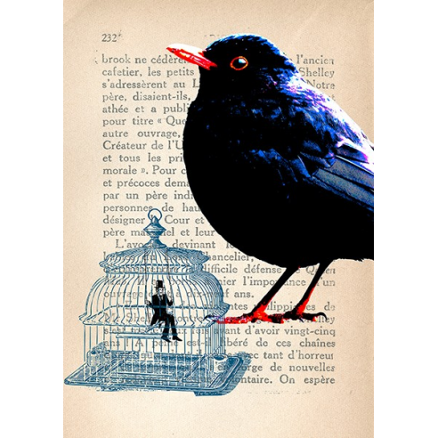 Cage à l'homme
