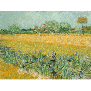 Field with Irises near Arles