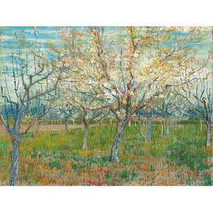 The Pink Orchard