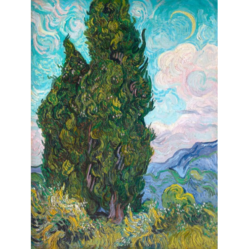 Cypresses