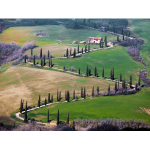 Road near Montepulciano,...
