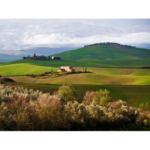 Tuscan Countryside