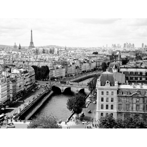 View of Paris and Seine river