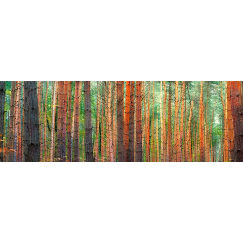 Colors of the Woods