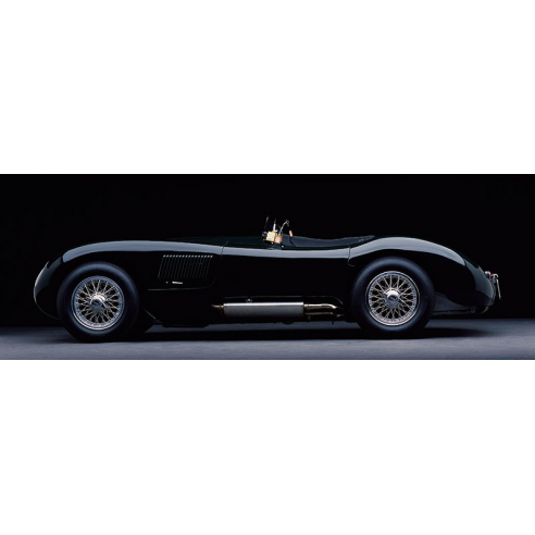 1951 Jaguar C-Type
