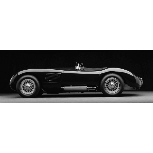 1951 Jaguar C-Type (BW)