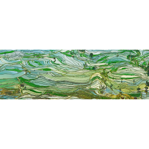 Rice Terraces, Yunnan, China