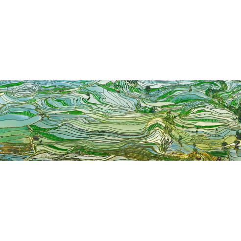 Rice Terraces, Yunnan, China