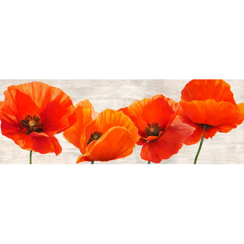 Bright Poppies