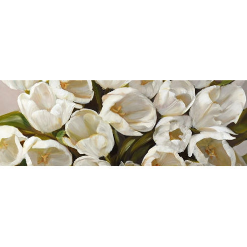 Tulipani bianchi