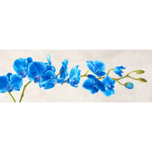 Blue Orchid