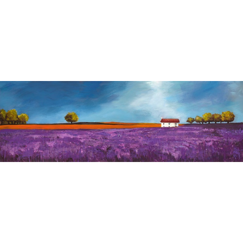 Field of lavender