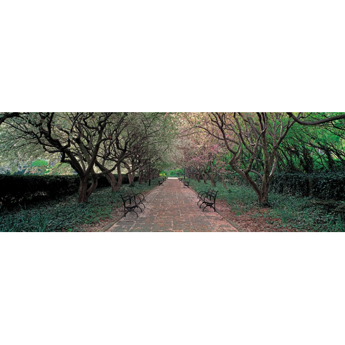 Through Conservatory Garden, Central...