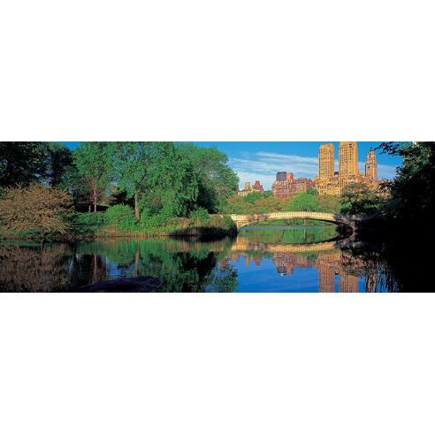 Bow Bridge and Central Park West...